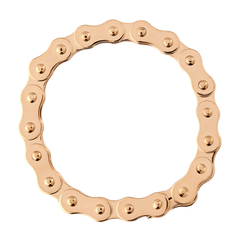 Lifecycle Chain Bracelet