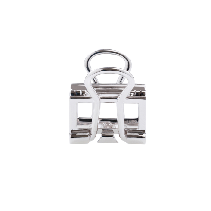 Clip Earring